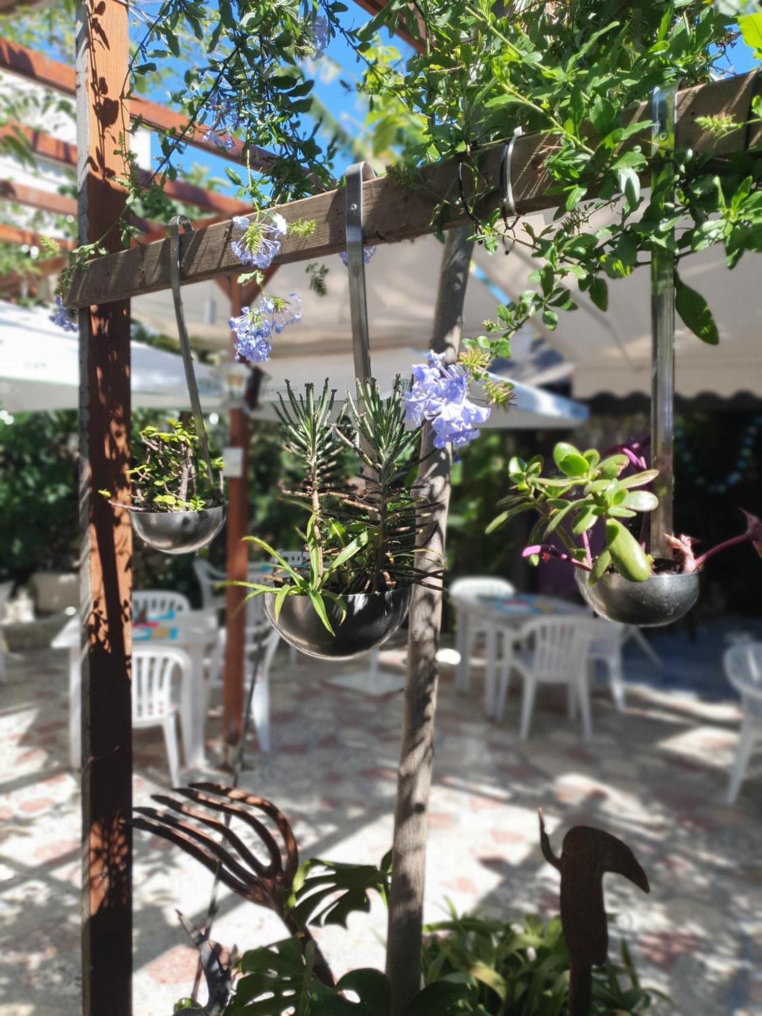 Hostal Mi Campana Denia Exterior foto